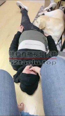 【小布丁S】人不如狗系列（二） bf25070
