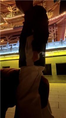 【海海】户外遛狗场 JS260112-26