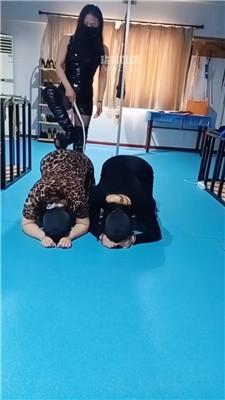 【青妍】情侣奴下跪受刑场【上】 JS260314-7