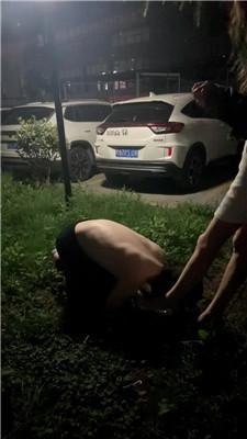 【蜜糖情侣】户外遛狗强迫舔 bf63433