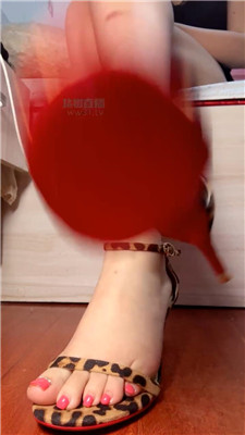 【咬猫】流J狗催促不用手    260623-21