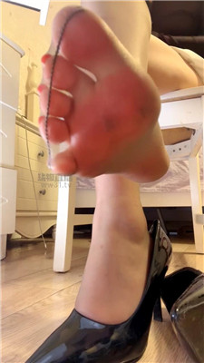 【咬猫】逼迫贡司马丧葬金    260705-36