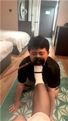 【沐雨】遛狗犬化训练 JS260708-34