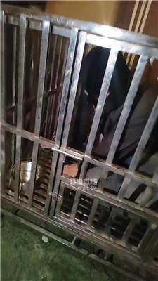 【南兮】双S-关狗笼犬化场 JS260711-31